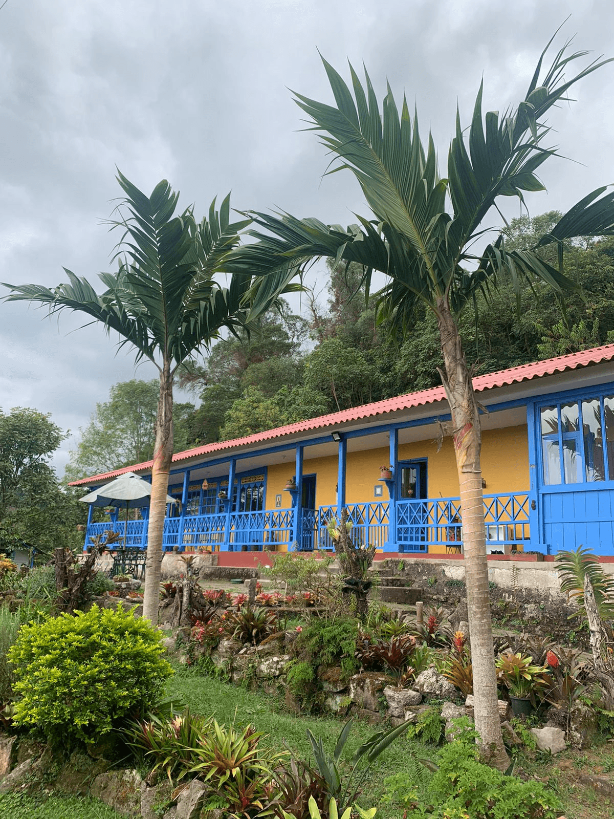 Harvest Story Image 1